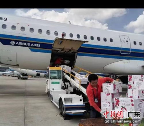 南航物流攜手廣東省農業農村廳助力‘荔’啟航，廣州物流賦能現代農業新篇章